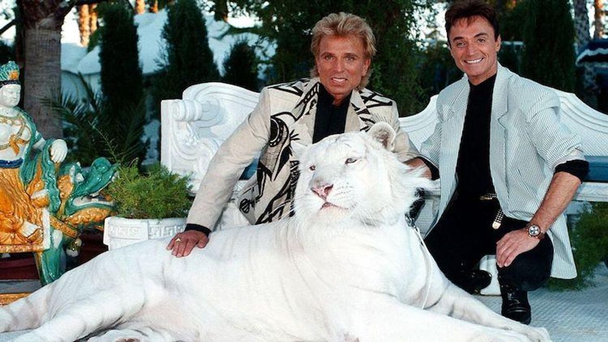 Siegfried and Roy with a white tiger
