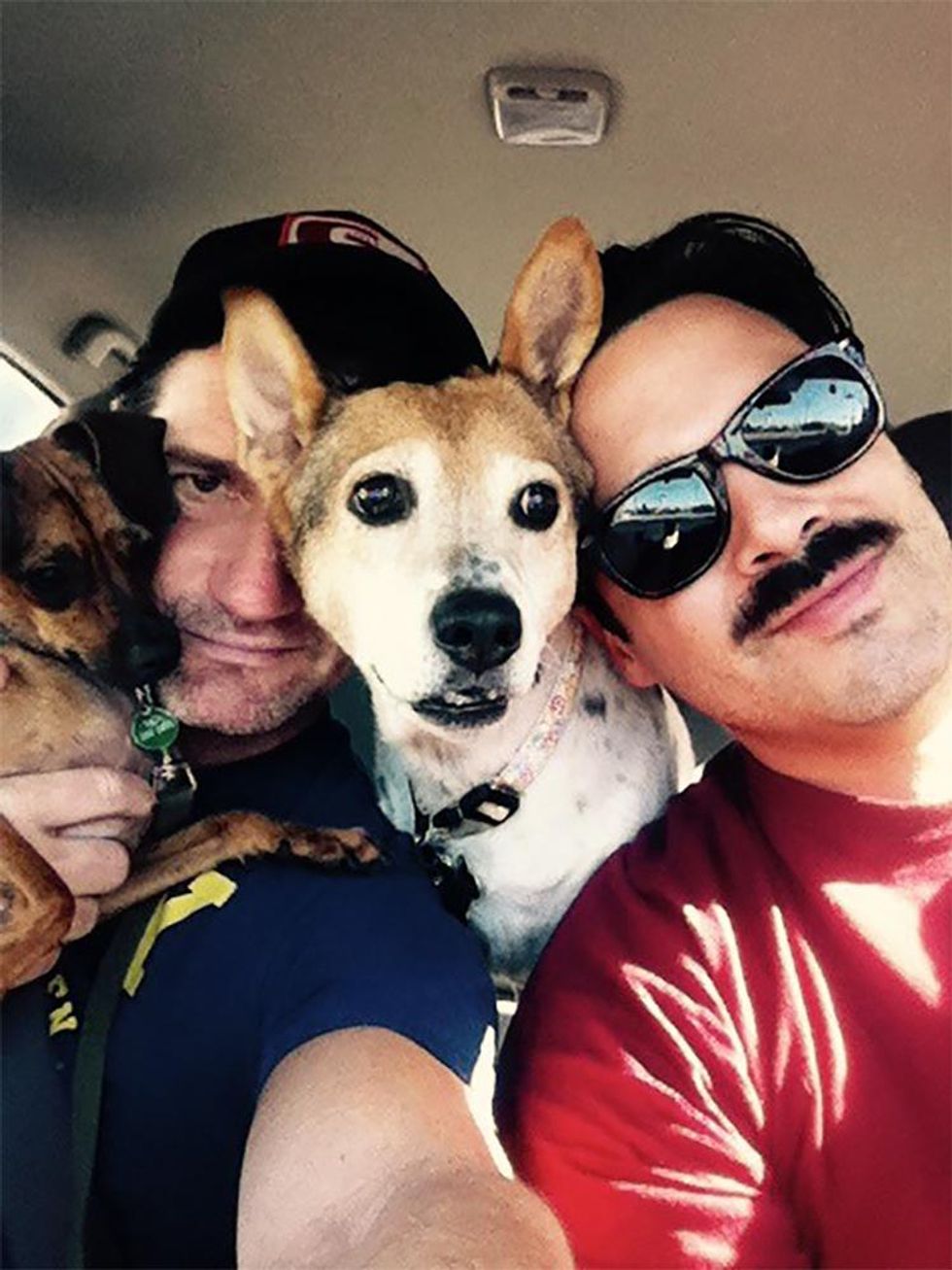 Silverlakedogpark_cropped