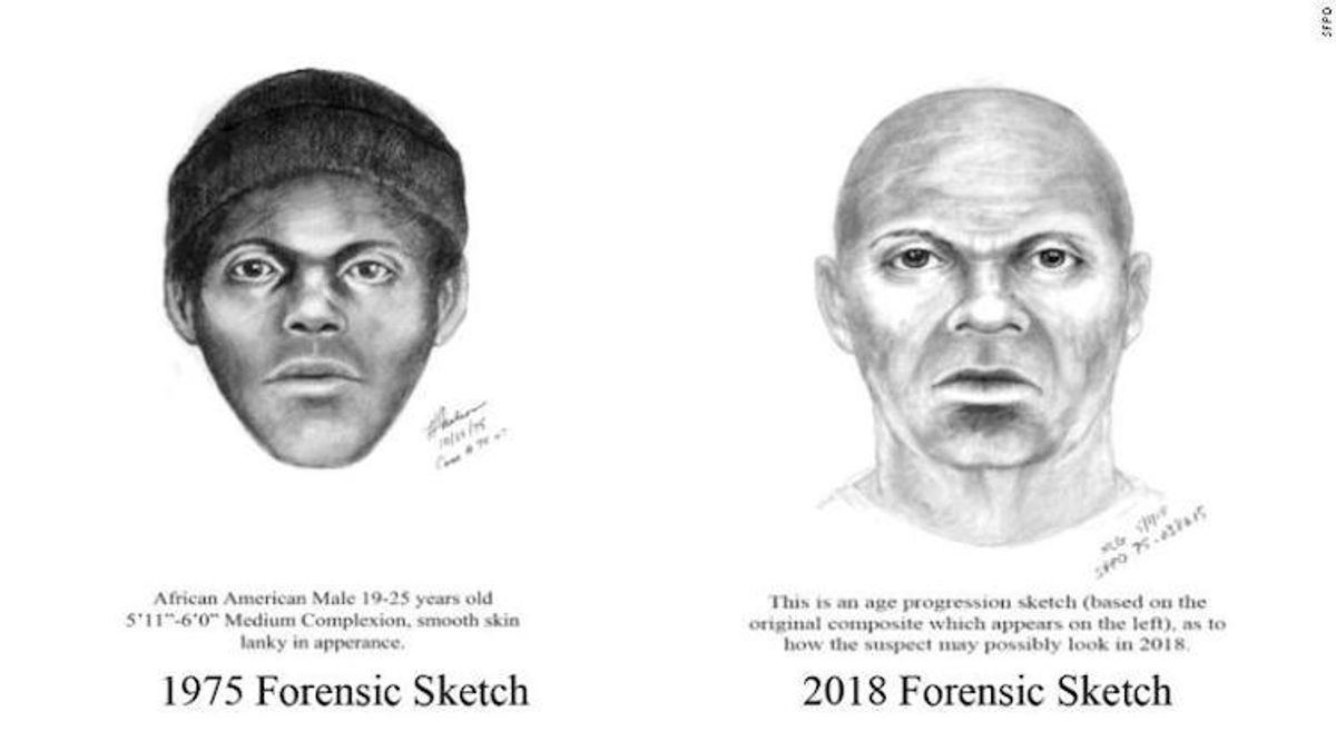 Sketches of what police believe the killer looks like
