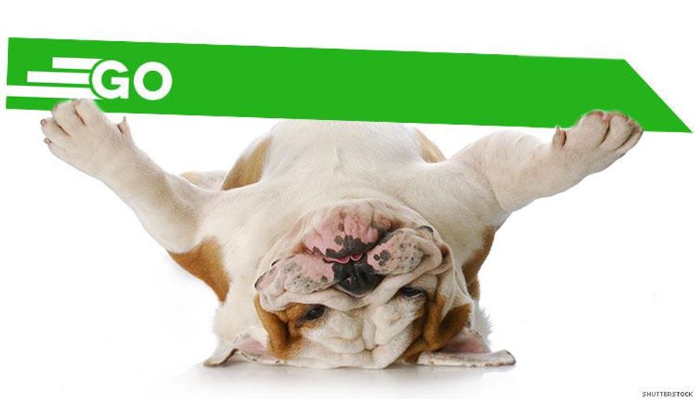 Starring in The Hotel New Hampshire