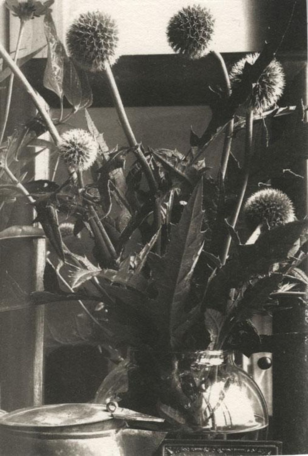 "Still Life," platinum palladium photograph