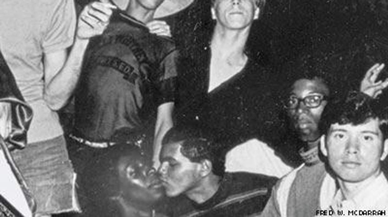 Stonewall_lily_whitex400