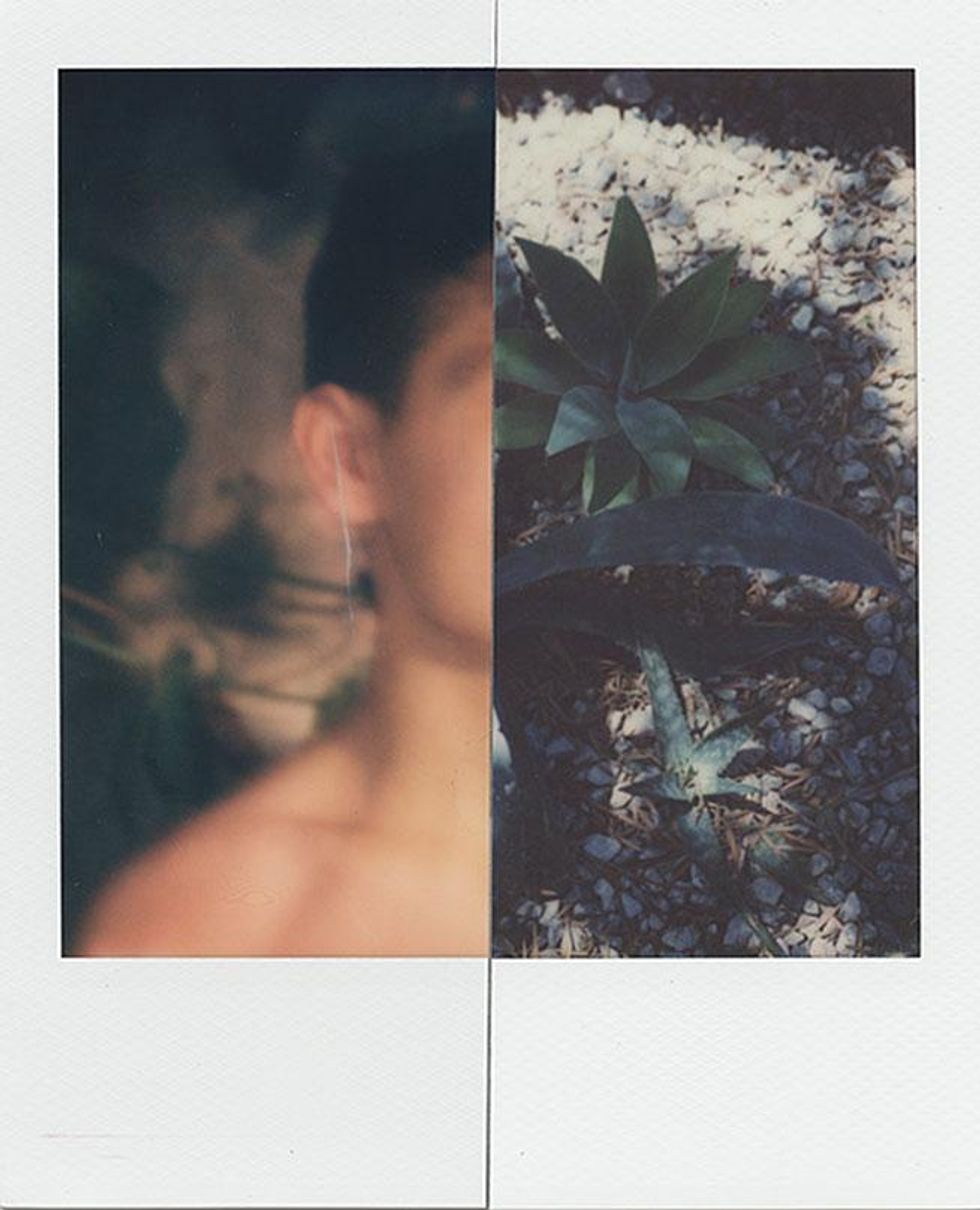 Stuart Sandford Polaroids