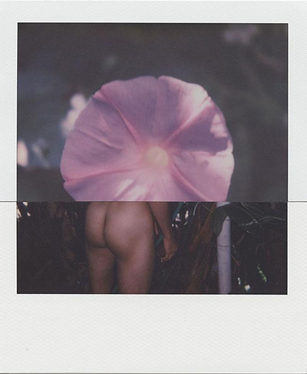 Stuart Sandford Polaroids
