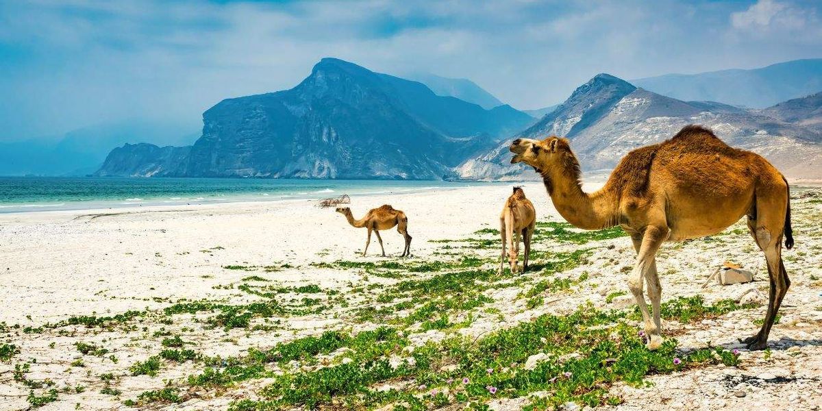 Planning a trip to Oman? You may need an HIV test