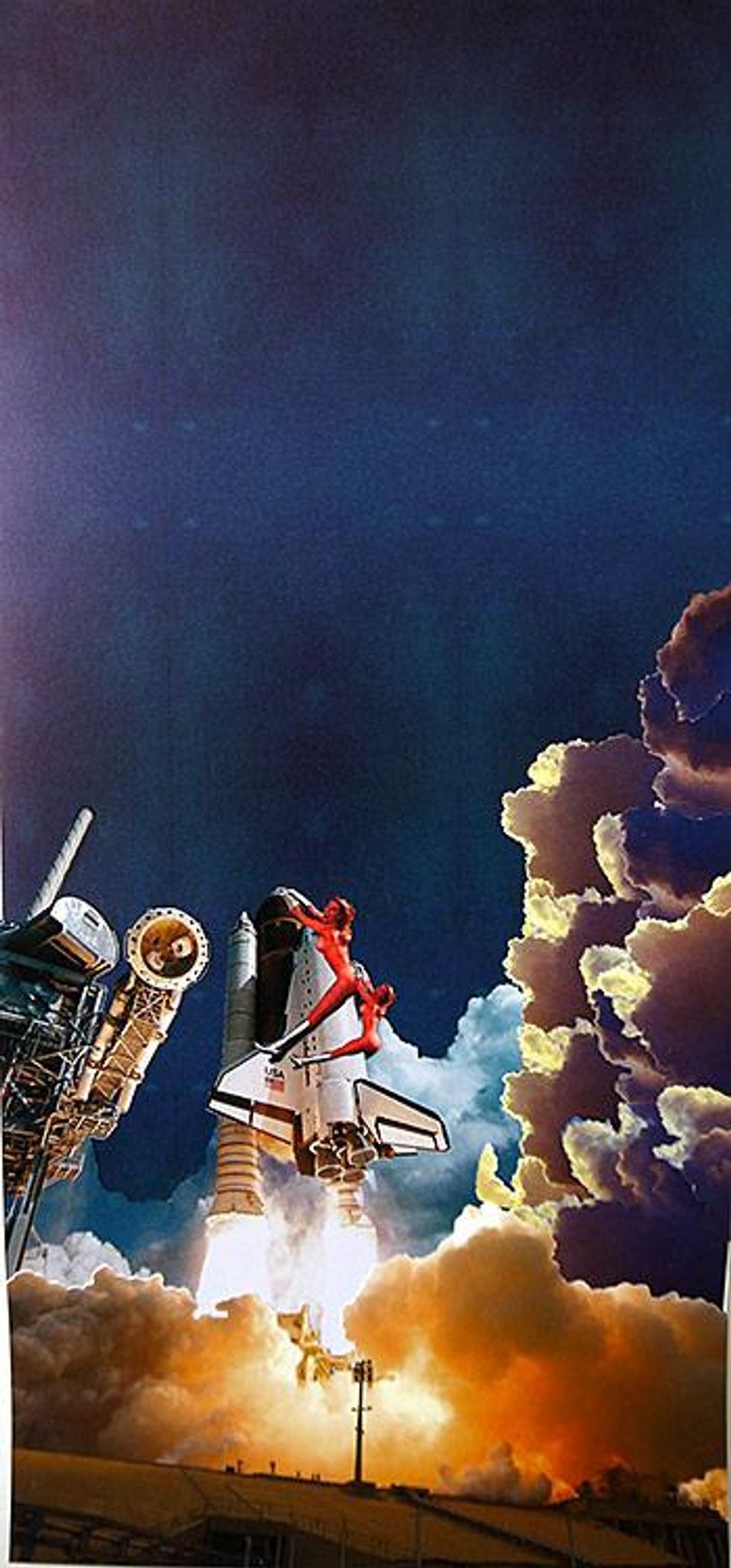 Suzanne Wright, Double Trouble, 2014. Photo collage, 30 x 14 inches. Courtesy of the artist