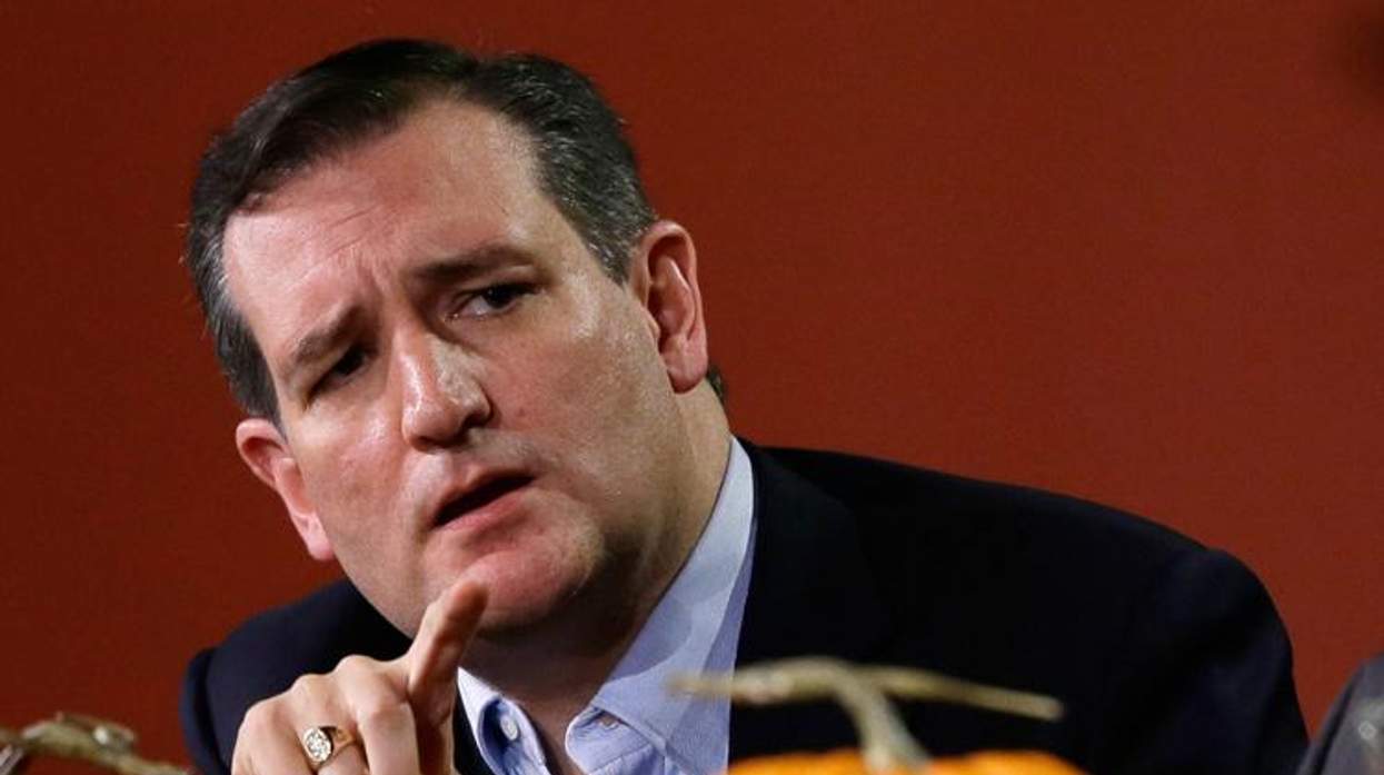 Ted Cruz at NOM Forum