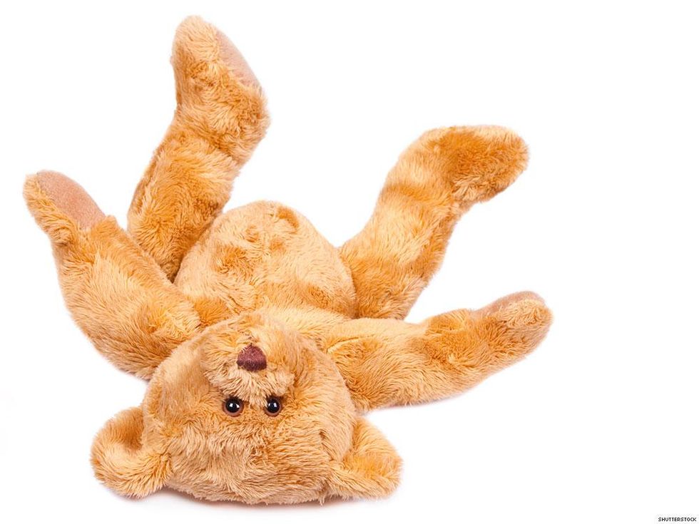 teddy bear on white background