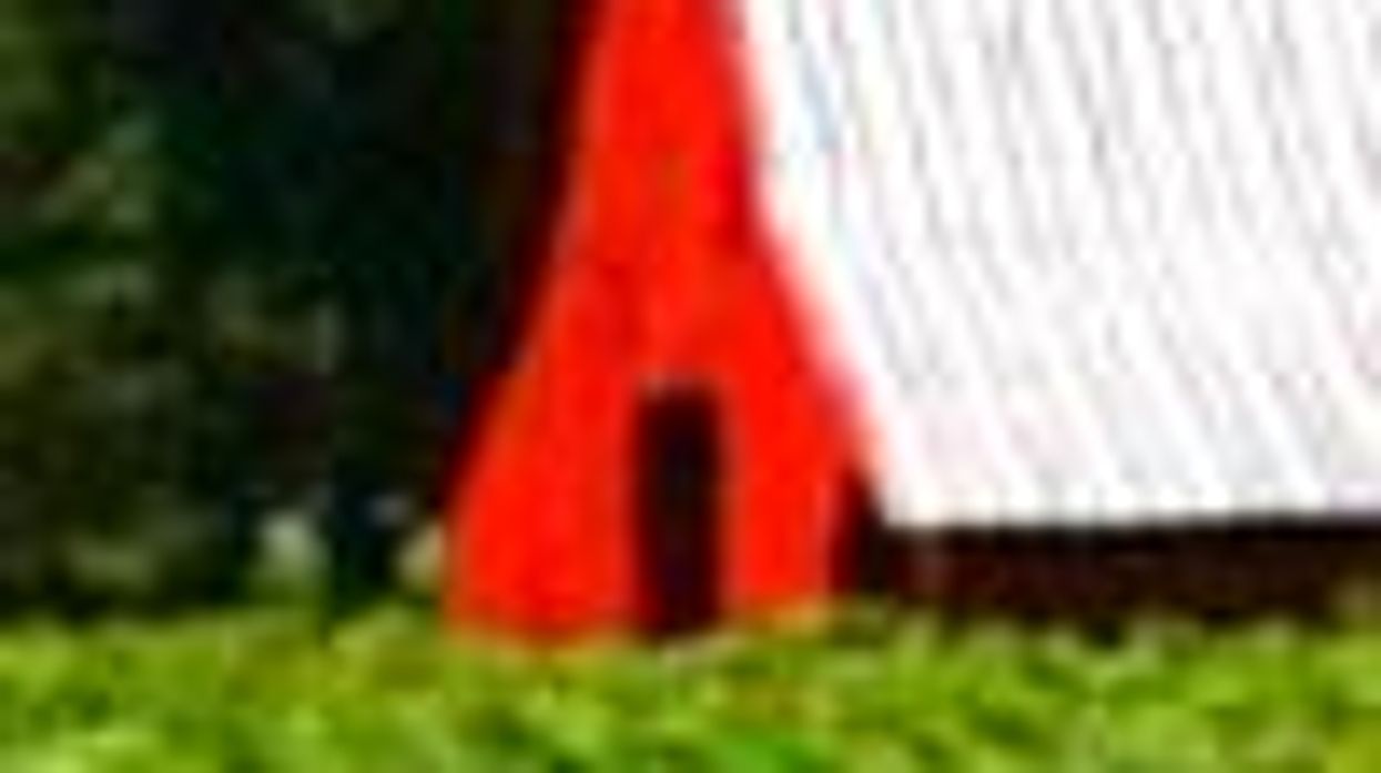 The Advocate's Champions of Pride from the South