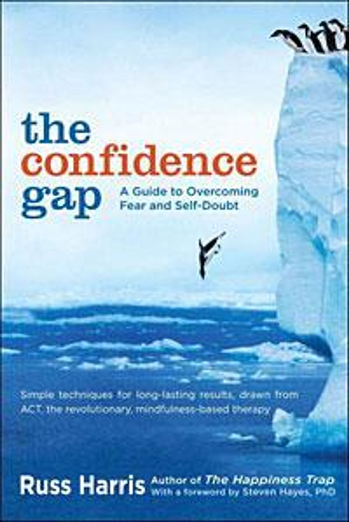 The-confidence-gapx200