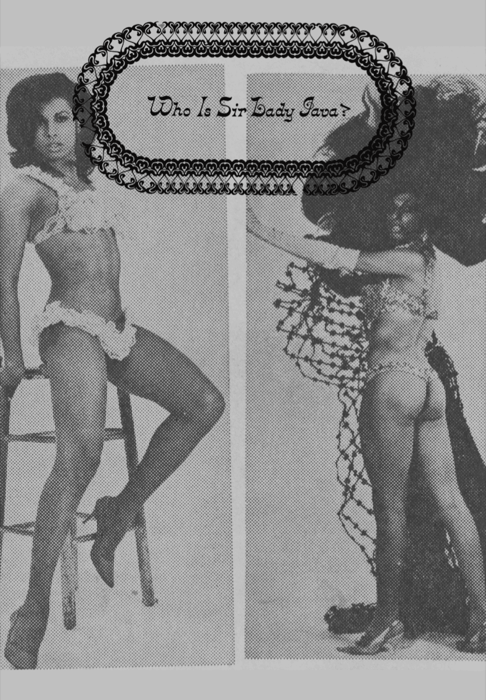 The cover of the new zine Who Is Sir Lady Java?
