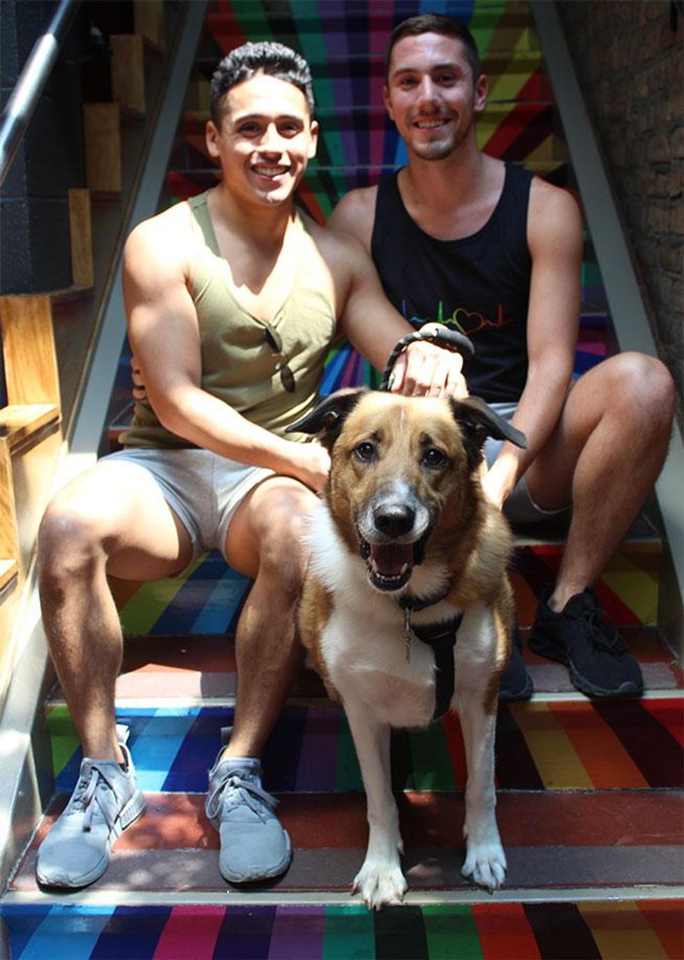The Dog Days of Summer at Sidetrack