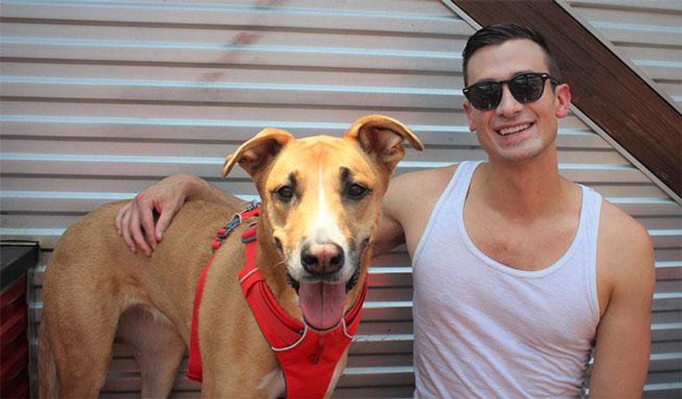 The Dog Days of Summer at Sidetrack