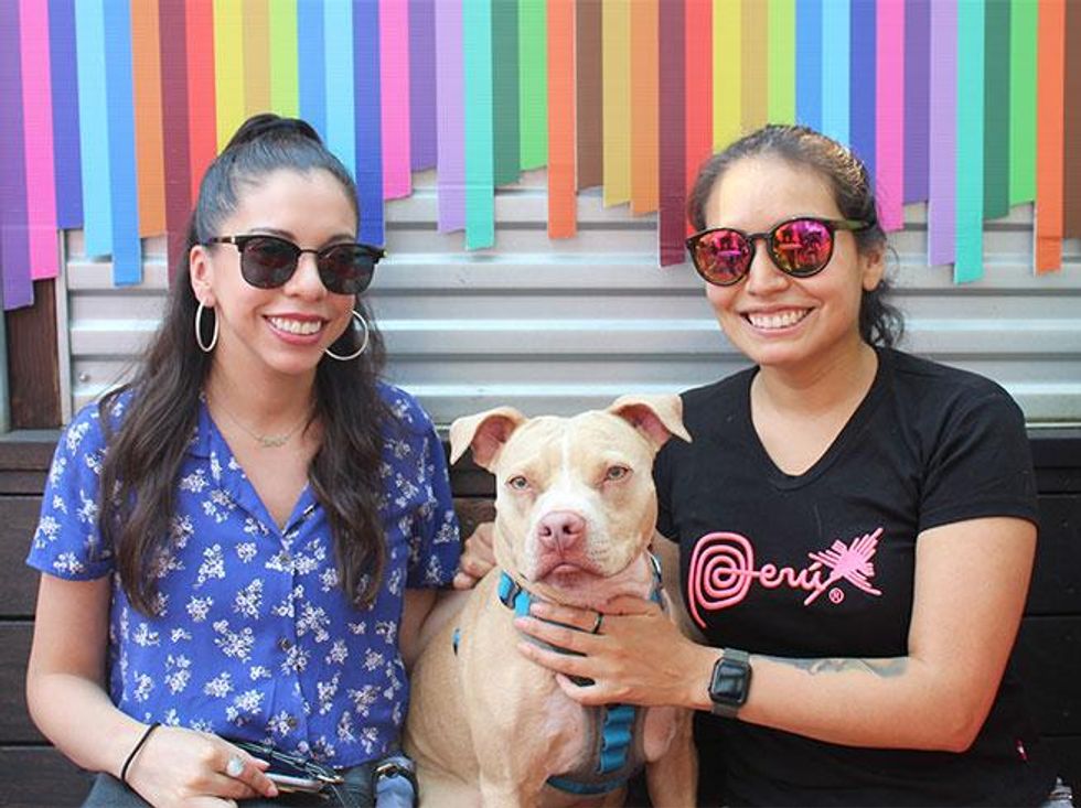 The Dog Days of Summer at Sidetrack