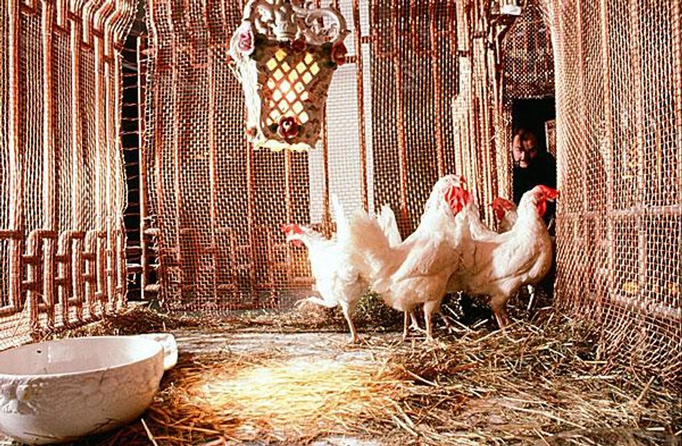 Thecage-living-room_1988detailx600