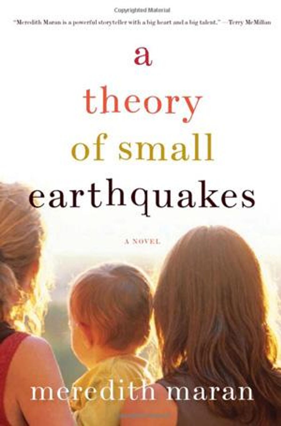 Theory_of-small-quakesx300