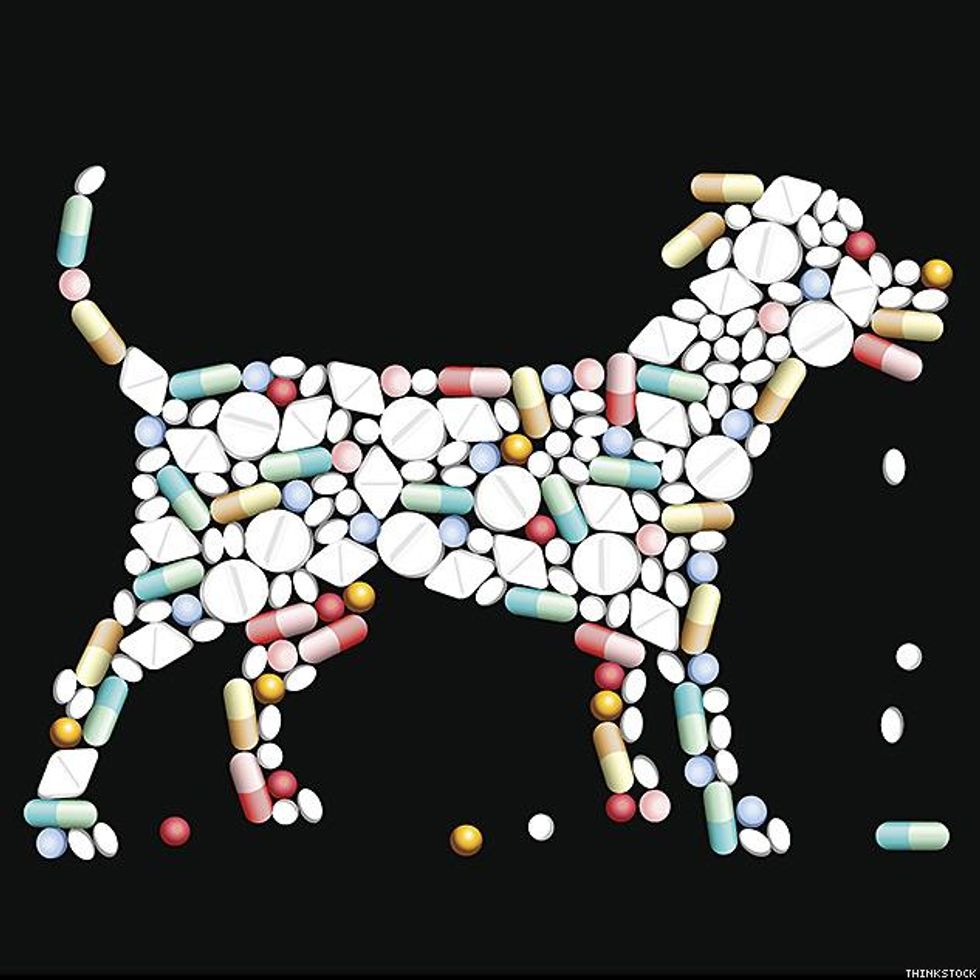 Thinkstockphotos-484669513x633_0