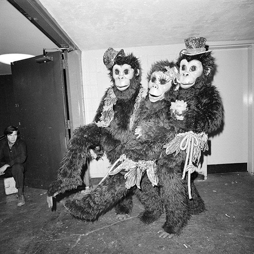 Three Clowns in Monkey Suits at the Ringling Brothers Barnum Bailey Circus, New York, NY April 1977