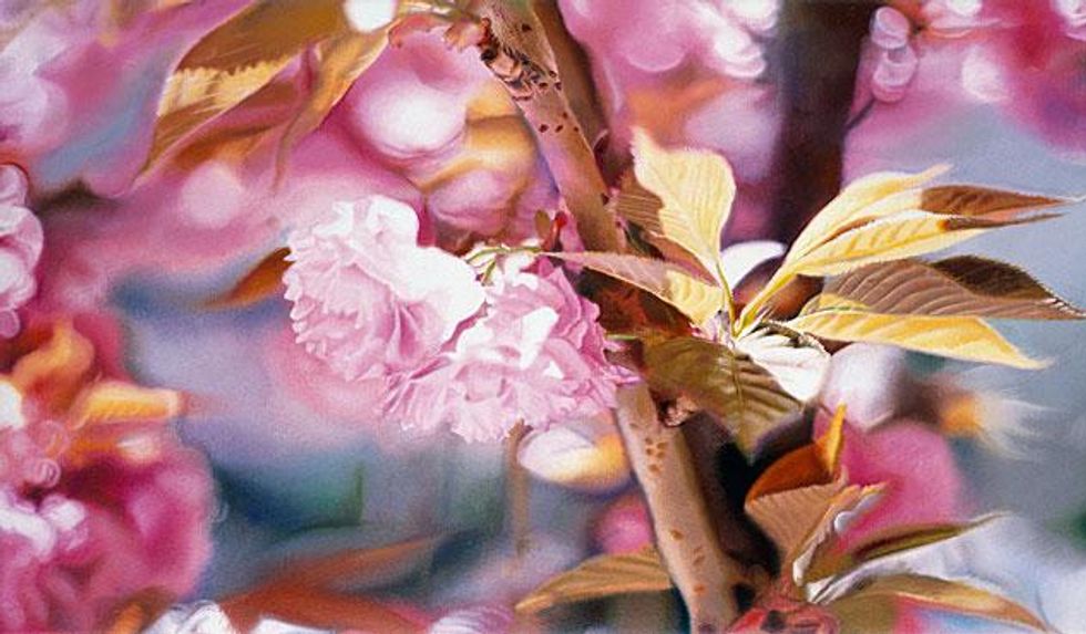 Through-the-eyes-of-x633_0