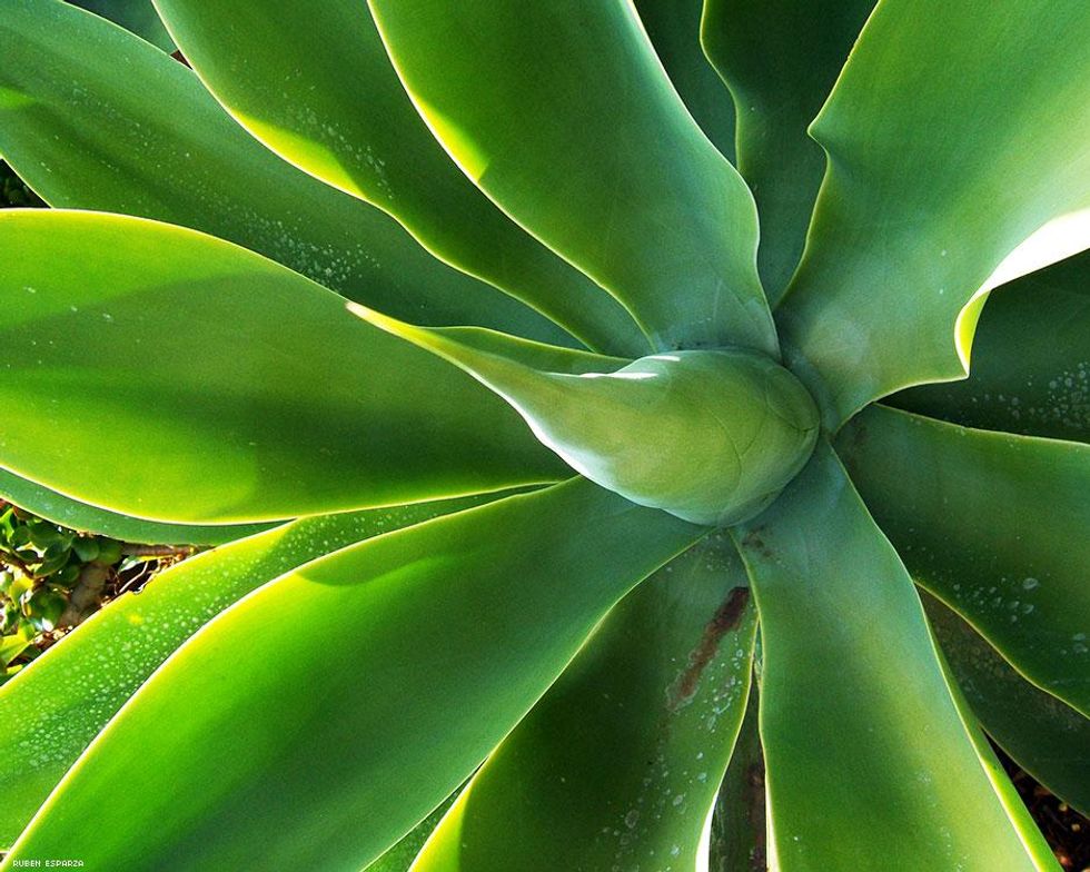 TOM House (Tom of Finland Foundation). 2014