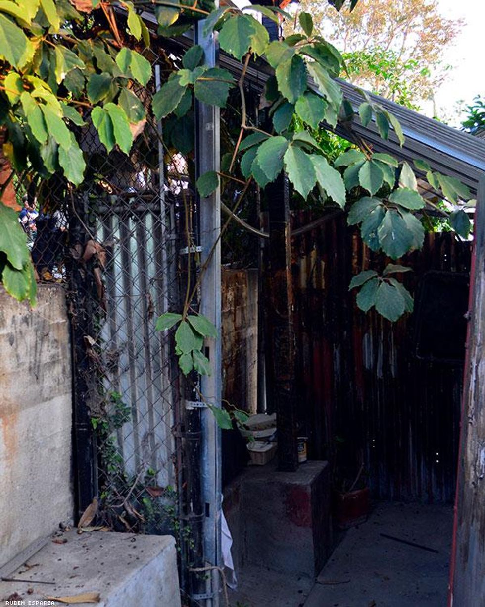 TOM House (Tom of Finland Foundation), 2017