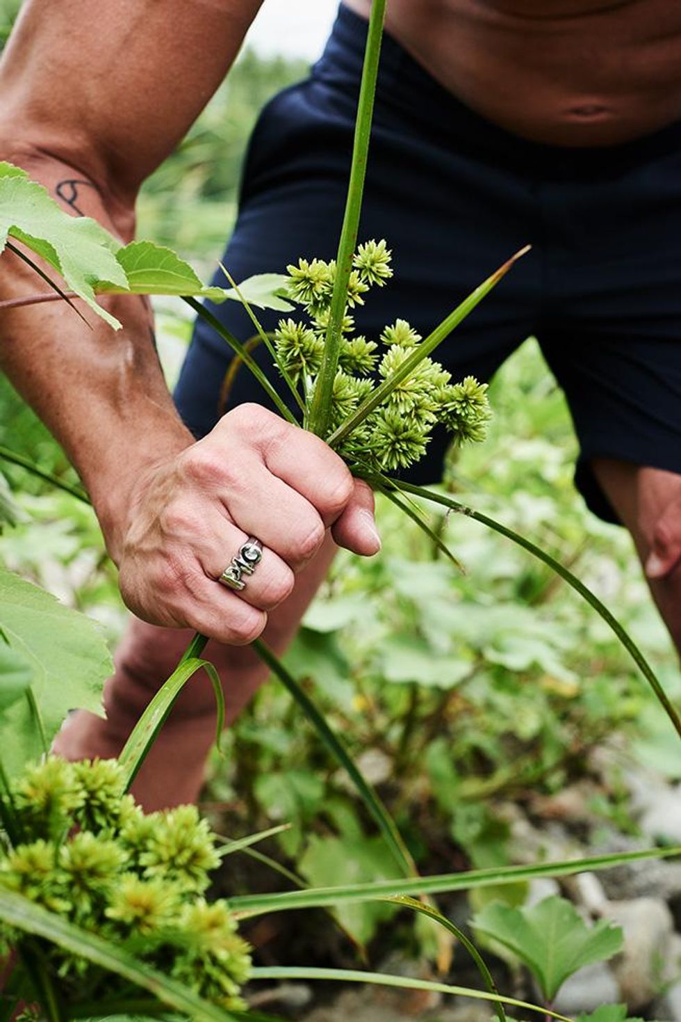 TOM\tOF FINLAND STORE LA URBAN SUMMER