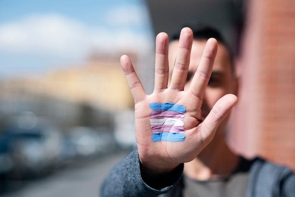 Trans flag painted on palm