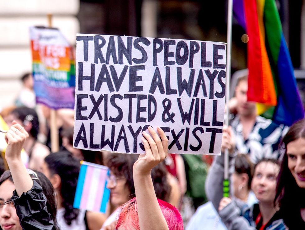 trans people always existed parade sign