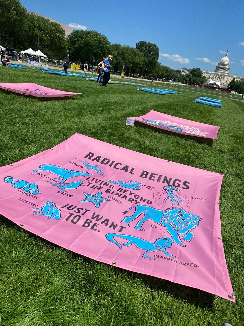 Trans Pride DC 2025 weekend festivities including ACLU Freedom to Be Monument
