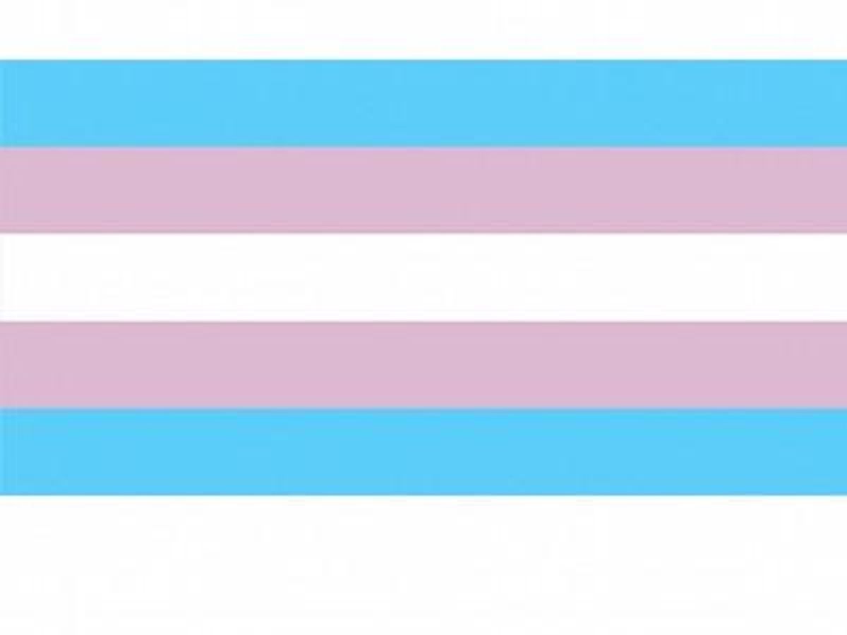 Transgender_pride_flag_400