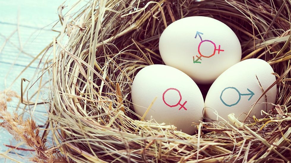Transgender symbols TDOV easter eggs nest transformaton change