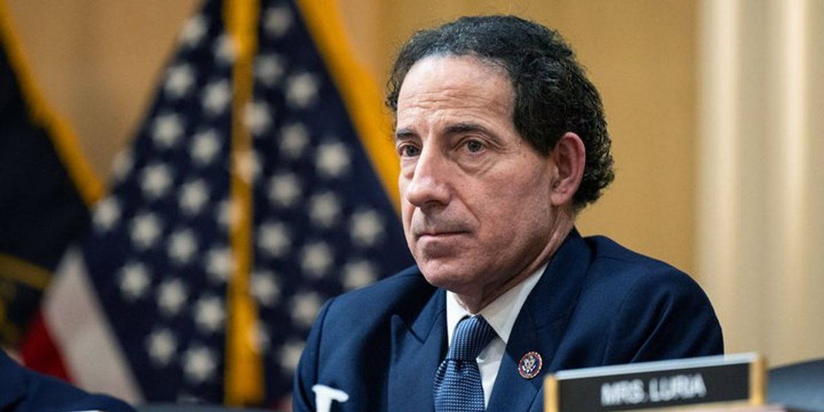 Jamie Raskin Opens Up About Cancer Recovery, Bravery, and Mental Health ...