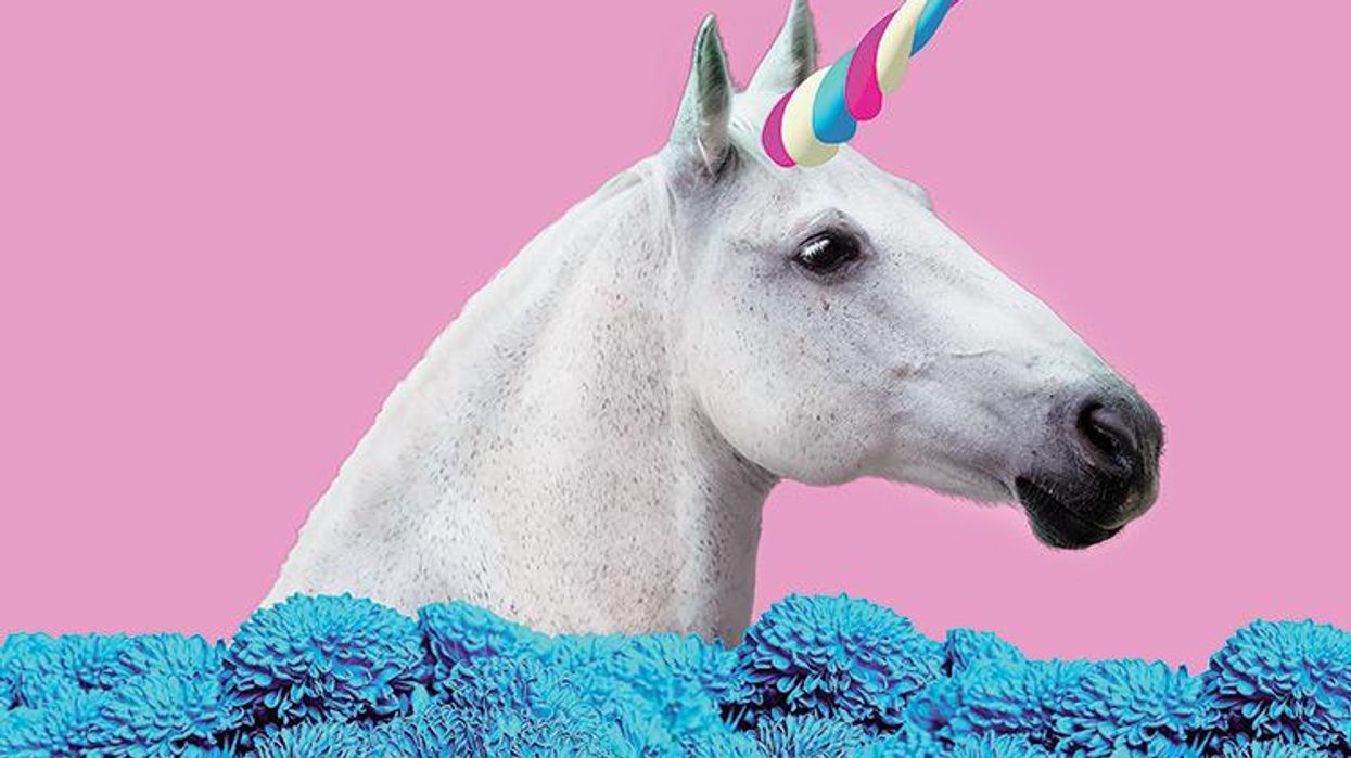 unicorn