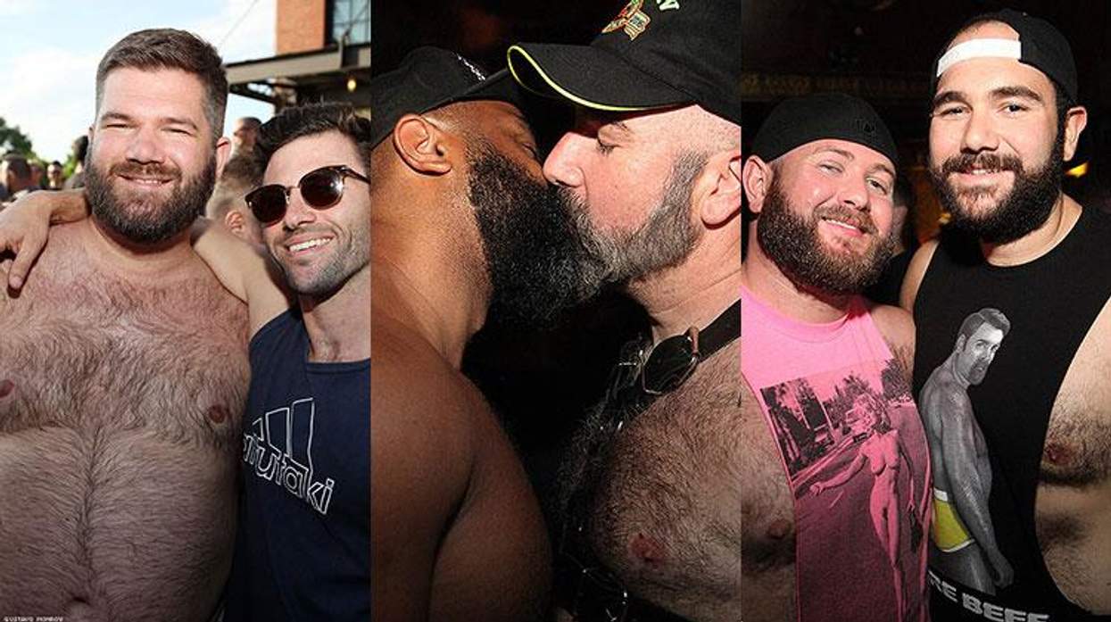 Urban Bear 2019