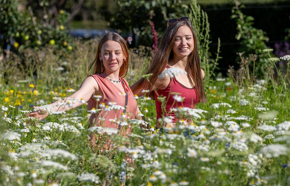 Wander through 72 acres of blooming beauty at Edinburgh\u2019s Royal Botanic Garden