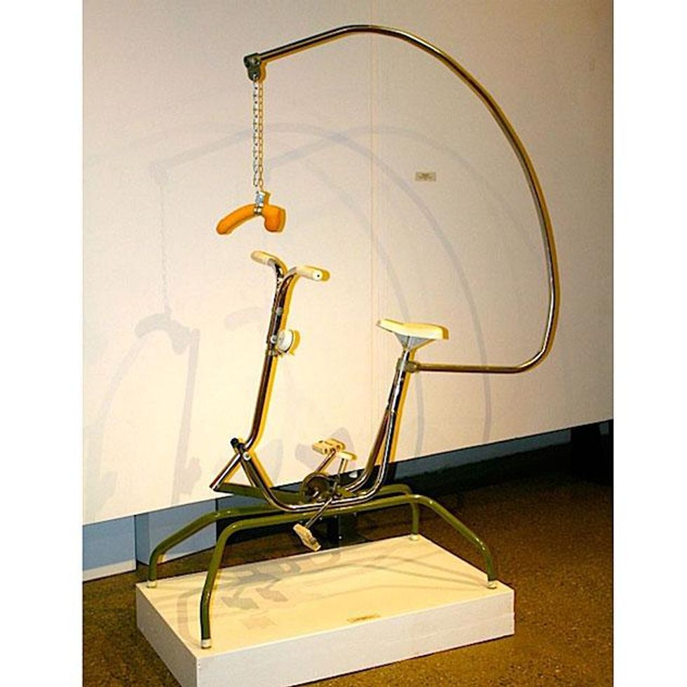 Will_do_anything_for_a_carrot-2012-excerize-bike-dildox633_0