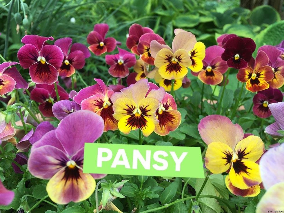 Words The Queer Community Has Reclaimed (and Some We Haven't)