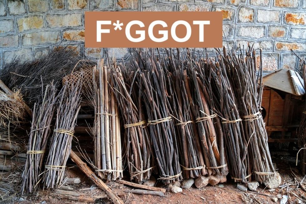 Words The Queer Community Has Reclaimed (and Some We Haven't)