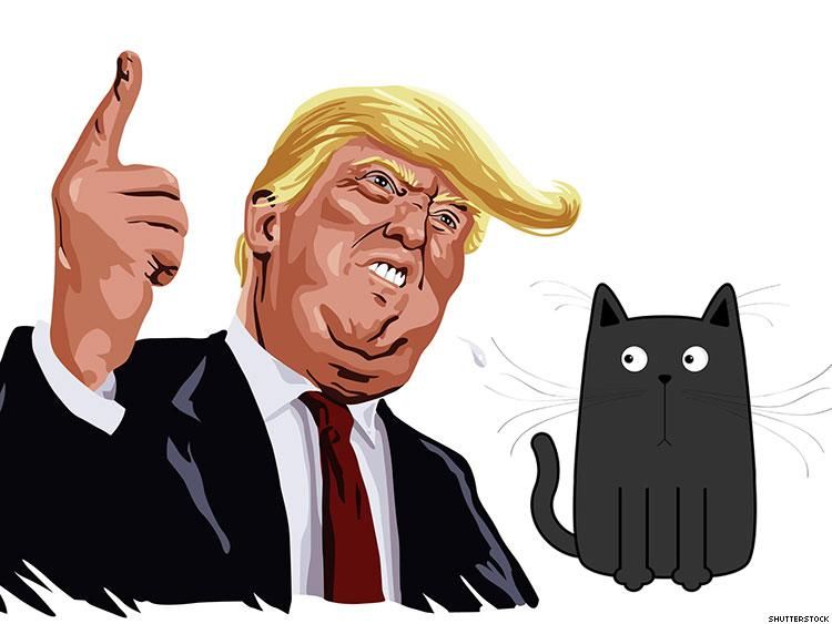 Donald Trump, 'Pussy,' and The Death of Propriety