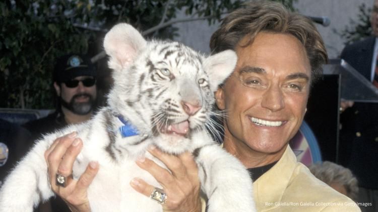 Roy Horn, Showman and Conservationist, Dead From COVID-19 Sigfriend and Roy