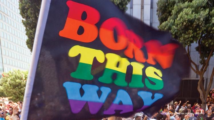 Born This Way Flag San Francisco Pride
