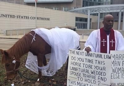 WATCH: Miss. Pastor Trots Out Horse to Protest Marriage Equality
