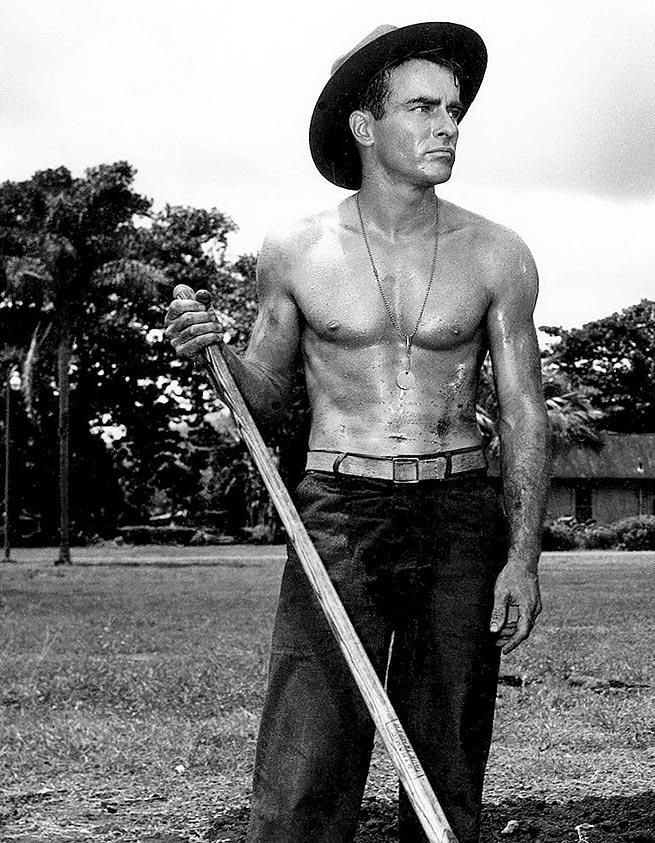 Hollywood Hunks Laid Bare 1940s 1950s 