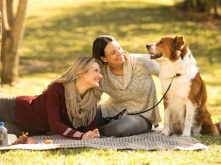 Outdoor Fun With Your Pets