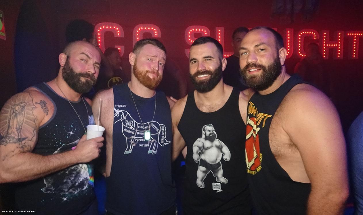 85 Photos of Bears at Play in Puerto Vallarta