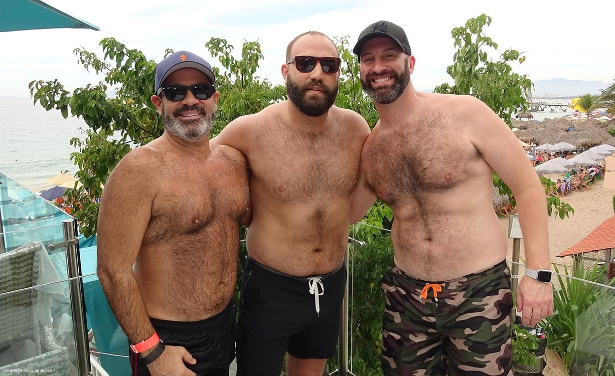 85 Photos of Bears at Play in Puerto Vallarta