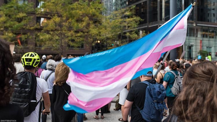 A transgender flag is woven
