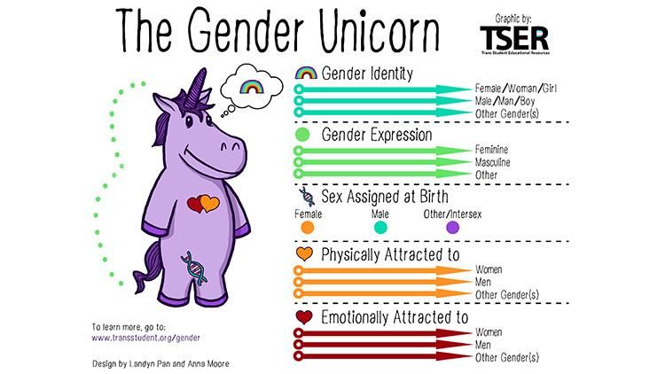 Queer Middle School Teacher Rebuked for 'Gender Unicorn' Explainer