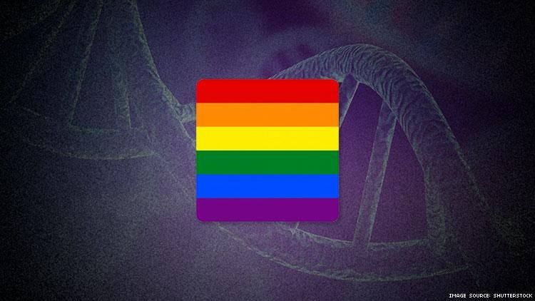 Gay DNA test