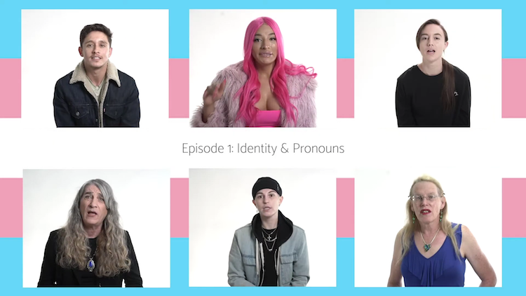 Six Trans People in six boxes talking